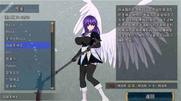 圣骑士莉卡物语