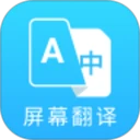 芒果游戏翻译手机版