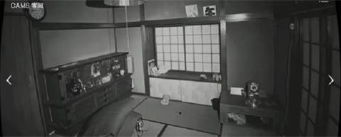 日本事故物件监视协会中文版
