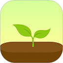 forest专注森林破解版