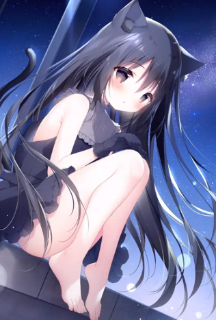 星空列车与白的旅行