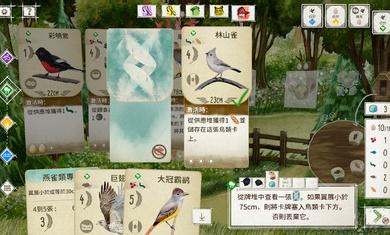 展翅翱翔手游